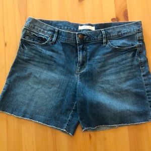 Ann Taylor LOFT denim shorts